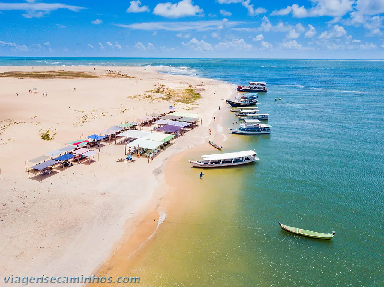 Passeio para Foz do Rio São Francisco - Encontro das Águas, imagem 1 - Marcão Turismo Maceió