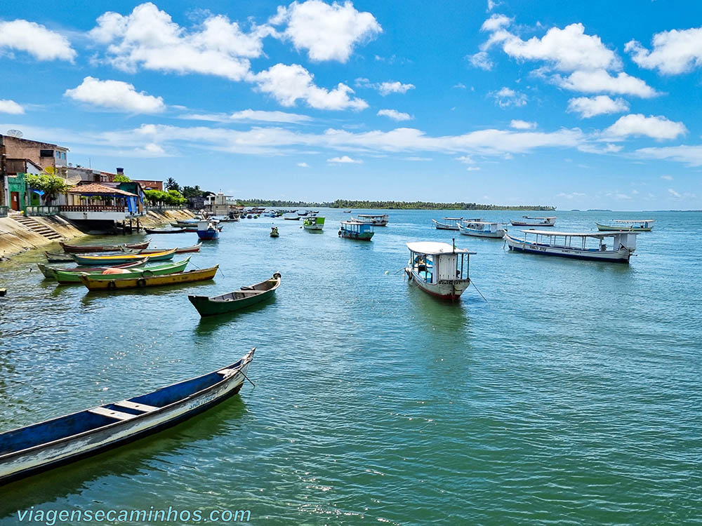 Passeio para Foz do Rio São Francisco - Encontro das Águas, imagem 3 - Marcão Turismo Maceió