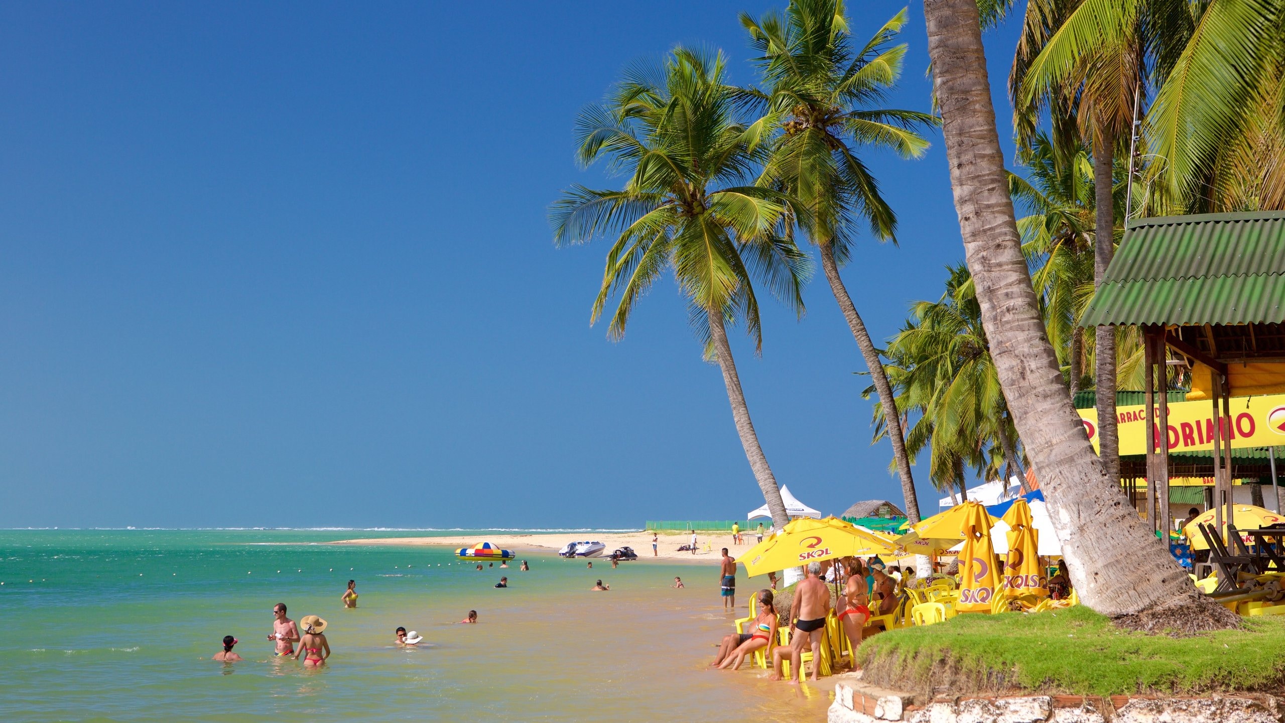 Passeio para Praia do Gunga - Paraíso das Falésias, imagem 3 - Marcão Turismo Maceió