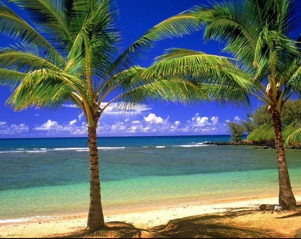 Passeio para Praia de Ipioca - Hibiscus Beach Club, imagem 1 - Marcão Turismo Maceió