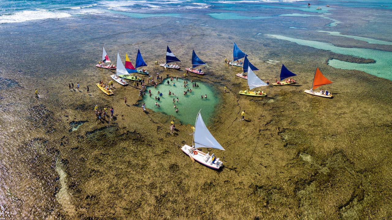 Passeio para Porto de Galinhas - Piscinas Naturais, imagem 1 - Marcão Turismo Maceió
