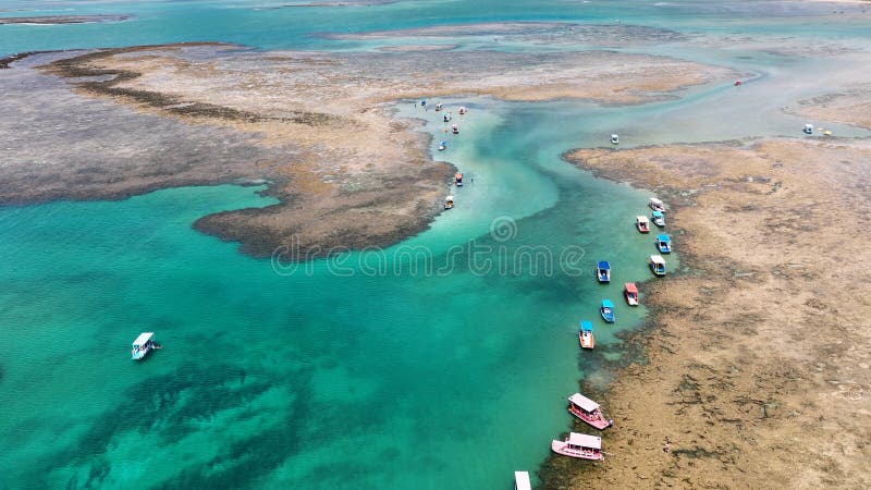 Passeio para São Miguel dos Milagres - Rota Ecológica, imagem 2 - Marcão Turismo Maceió